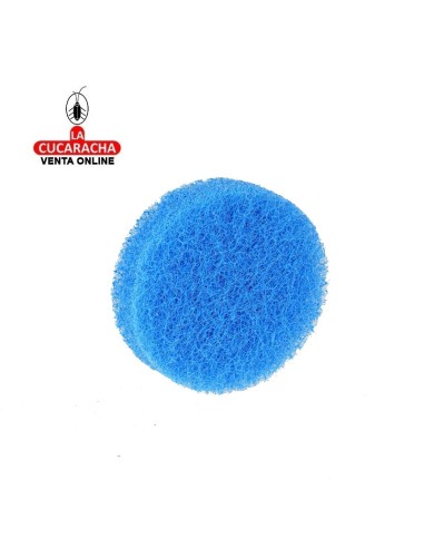 Juego de limpieza y pulido para...