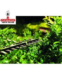 Cortasetos 20V a batería Modelo THTLI20018.