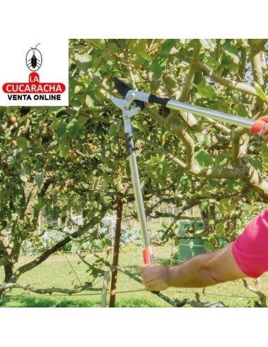 TIJERA PODAR DOS MANOS RAMAS VERDES Y...