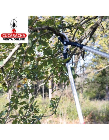 TIJERA PODAR A DOS MANOS MANGO...