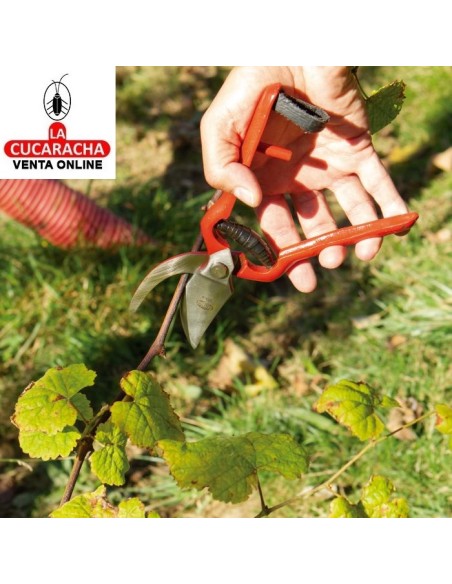 TIJERA PODAR ACERO FORJADO MADERAS VERDES MODELO P14.