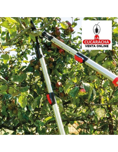 TIJERA PODAR A DOS MANOS MANGOS TELESCOPICOS ALUMINIO RAMAS VERDES Y HUMEDAS MODELO P04.