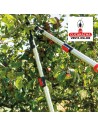 TIJERA PODAR A DOS MANOS MANGOS TELESCOPICOS ALUMINIO RAMAS VERDES Y HUMEDAS MODELO P04.