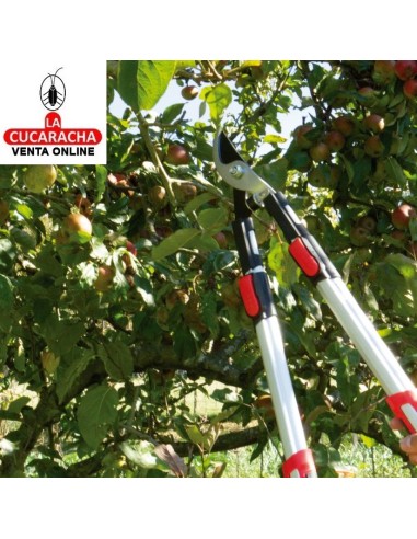 TIJERA PODAR A DOS MANOS MANGOS...