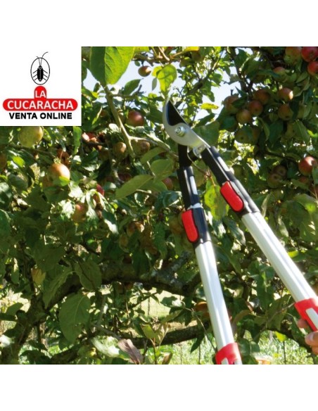 TIJERA PODAR A DOS MANOS MANGOS TELESCOPICOS ALUMINIO RAMAS VERDES Y HUMEDAS MODELO P04.