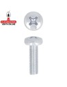 BLISTER TORNILLO ACERO INOX MATE CABEZA CILINDRICA PHILLIPS.