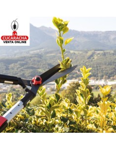 TIJERA CORTASETOS A DOS MANOS MODELO P07.