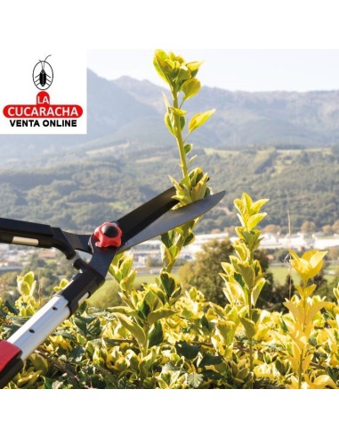 TIJERA CORTASETOS A DOS MANOS MODELO...