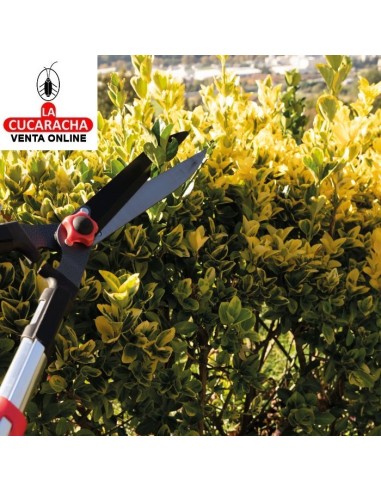 TIJERA CORTASETOS A DOS MANOS MODELO...