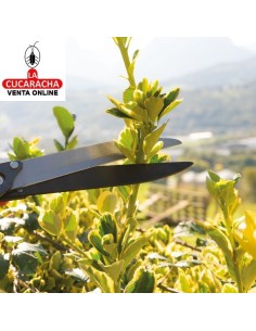 TIJERA CORTASETOS A DOS MANOS MODELO P07.