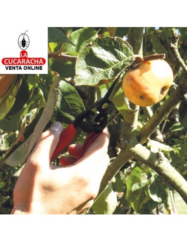 TIJERA PODAR RECOLECCION MODELO P15.