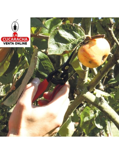 TIJERA PODAR RECOLECCION MODELO P15.