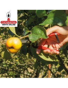 TIJERA PODAR RECOLECCION MODELO P16.