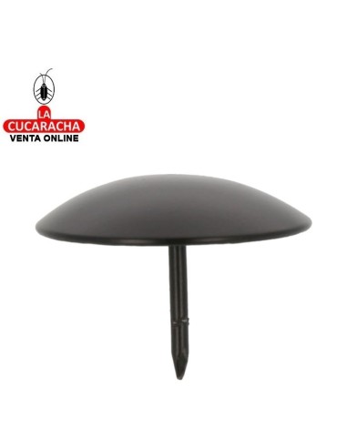 BLISTER 4-CLAVO ORNAMENTAL RUSTICO...