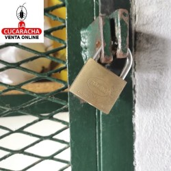 BLISTER Candado Laton Arco normal Acero Doble cierre MODELO 2.