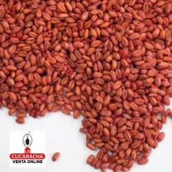 Raticida RATIBROM-2 Cereales 150 Gramos 2