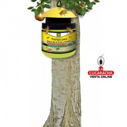 Trampa MASSO Para Mosca de Fruta y Avispas 2