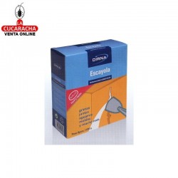 Escayola DIRNA 900GR.