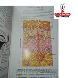 Enciclopedia familiar de la medicina y la salud.- 2 Tomos 2