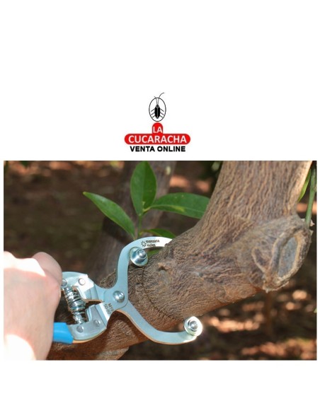 manzana-TIJERA ANILLADOR injertar M19/20-55 MODELO NULES.