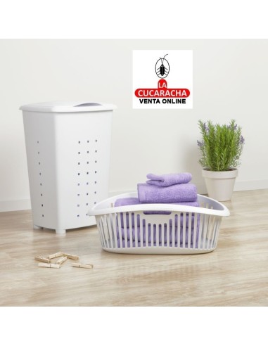 TATAY-PONGOTODO MILLENIUM PLASTICO...