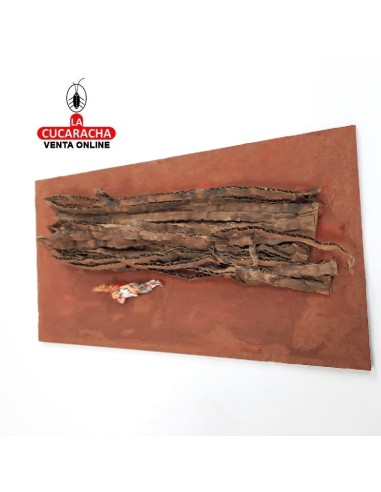 Sueño de San Jose-Pesebre Belen...