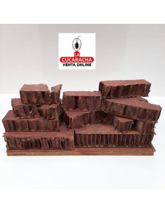 Anunciacion a los... 2