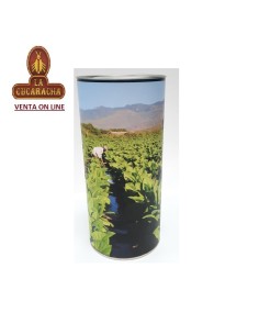 HUMIDOR PUROS-CHAPA REDONDO.