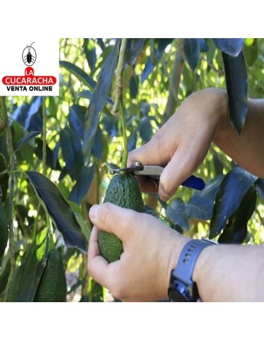 manzana-TIJERA RECOLECTAR AGUACATE... manzana-TIJERA RECOLECTAR AGUACATE...
