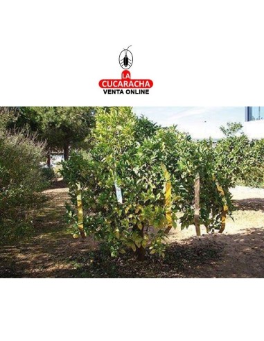 MIARCO-Cinta Espantapajaros Bimetal...