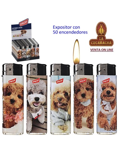 Expositor 50 encendedores piezo «Prof» 5 MODELOS.