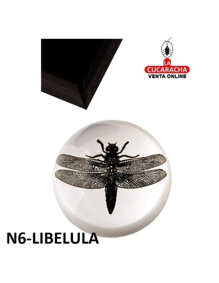 Pisapapeles acrílico con estuche. DISEÑOS SURTIDOS.