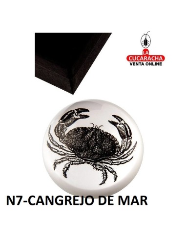 Pisapapeles acrílico con estuche....