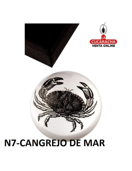 Pisapapeles acrílico con estuche. DISEÑOS SURTIDOS.