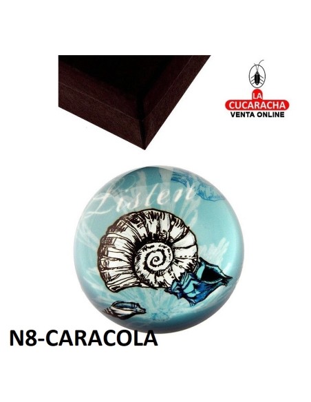 Pisapapeles acrílico con estuche. DISEÑOS SURTIDOS.