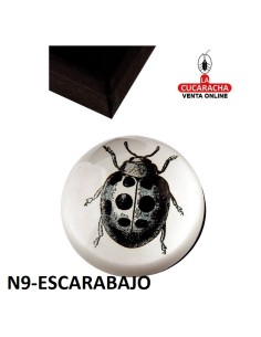 Pisapapeles acrílico con estuche. DISEÑOS SURTIDOS.