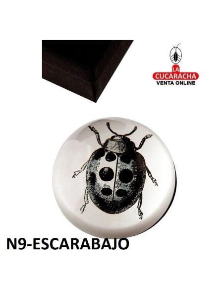 Pisapapeles acrílico con estuche. DISEÑOS SURTIDOS.