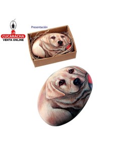 Pisapapeles en caja diseño...