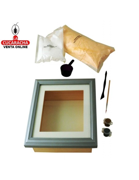 Kit moldeo y escultura huella bebé Baby Huellas.