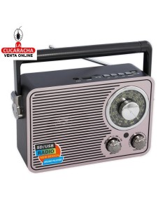 RADIO NEGRA Y PLATA DIAL...