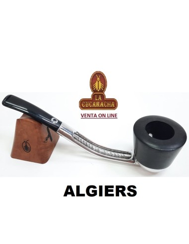 FALCON-Pipa Serie Standard curva...